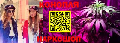 прущие крисы Донской