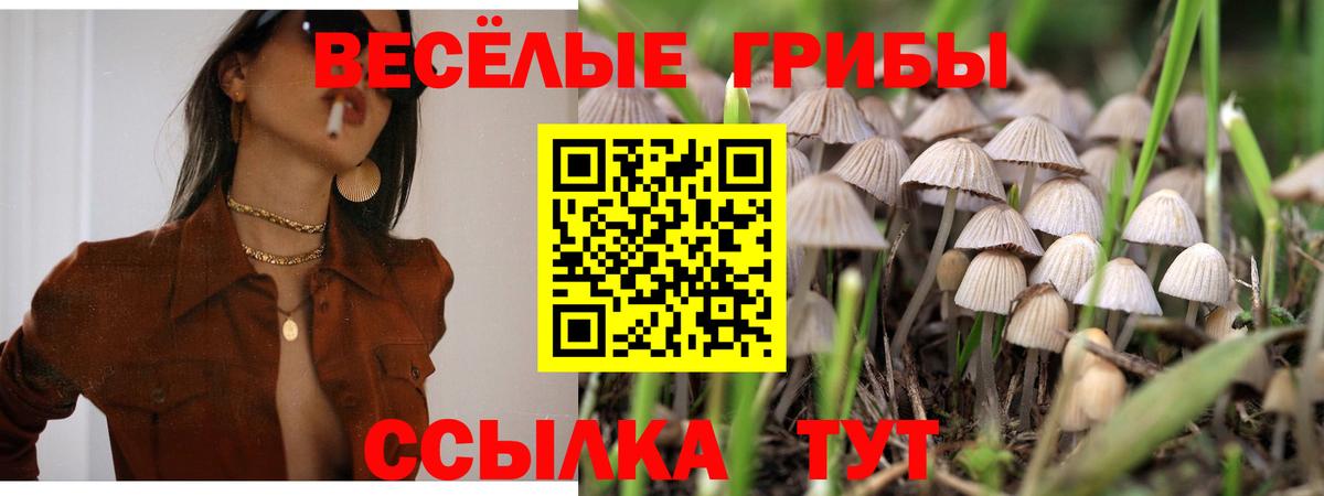 Псилоцибиновые грибы MAGIC MUSHROOMS  Вход с VPN  Лянтор 